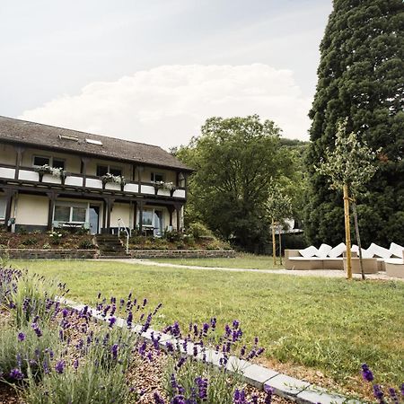 Ferien Weingut Schneider Hotel Ellenz-Poltersdorf Exterior photo